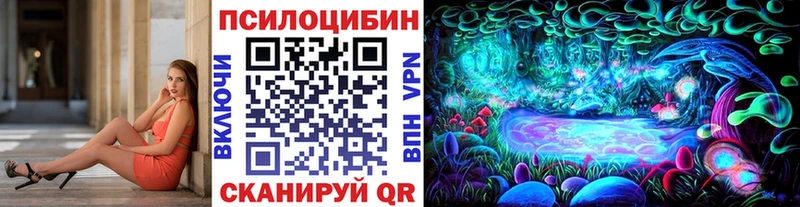наркошоп  Ачинск  Псилоцибиновые грибы мицелий 
