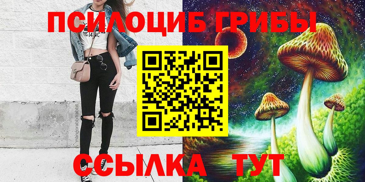 Псилоцибиновые грибы мицелий Ачинск
